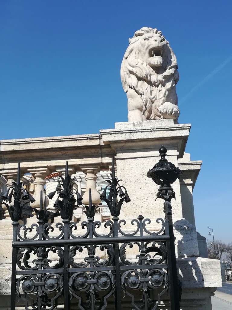 Erzsébet, a szépséges királyné