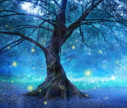 Tündérek, lidércek, boszorkányok