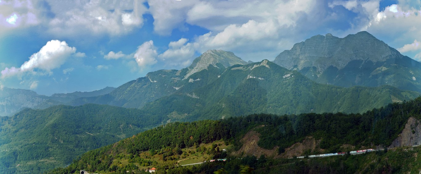 Olívaszüret a mediterrán Montenegróban